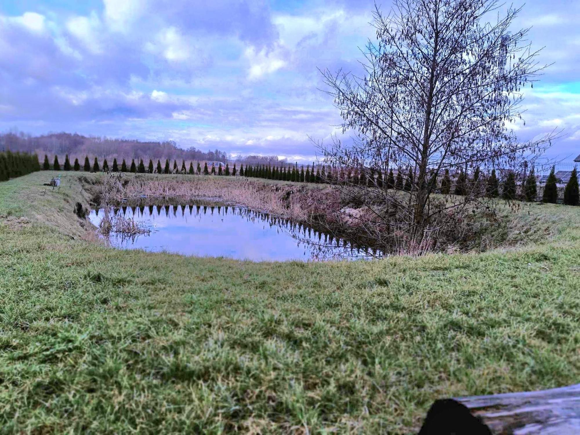 Dworek *